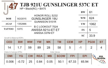 Lot 47 - TJB 921U GUNSLINGER 537C ET